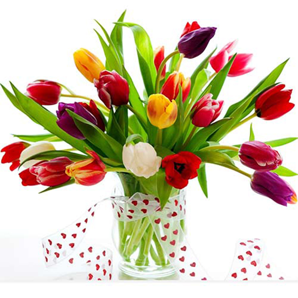 Kết hợp các màu tulip cùng với nhau