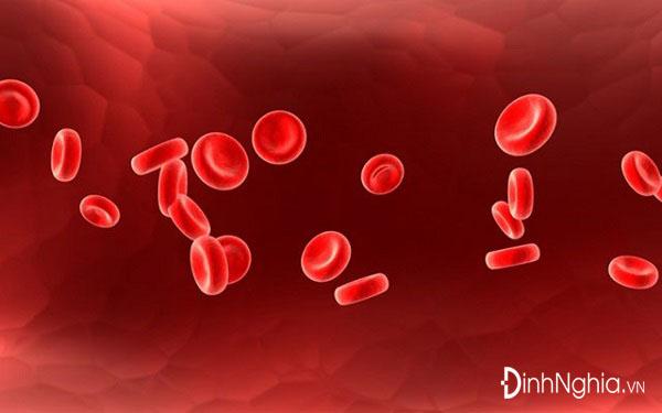 khái niệm bệnh tăng hồng cầu là gì