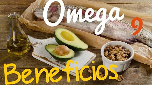 omega 9 là gì và các thực phẩm chứa omega 9 