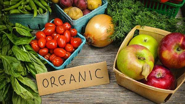 tìm hiểu khái niệm organic là gì